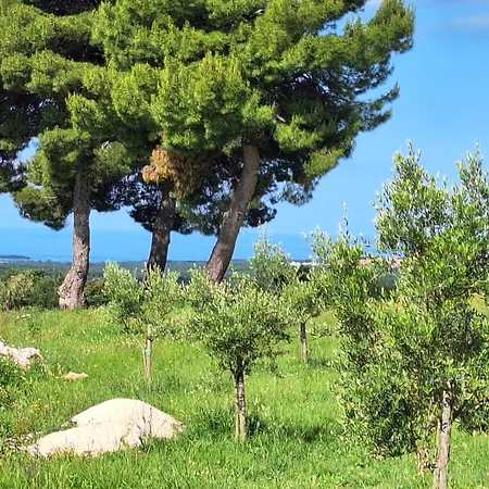 度假居 Casa Dell' Armonia 波雷奇