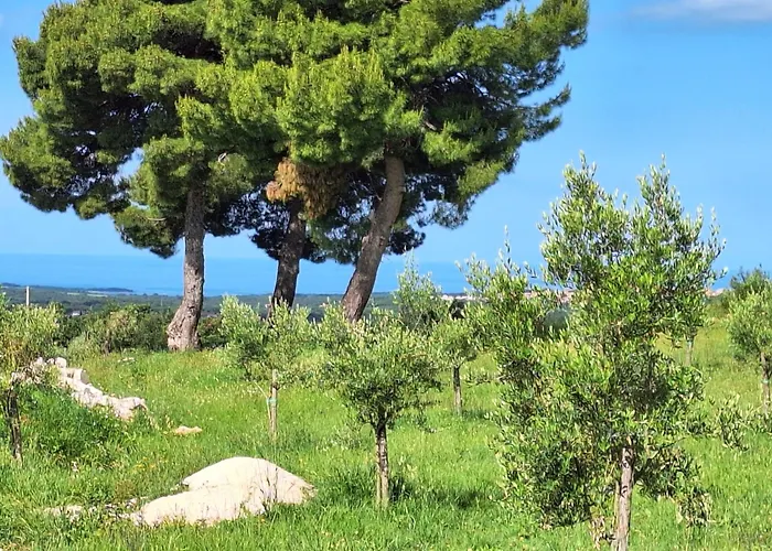 度假居 Casa Dell' Armonia 波雷奇